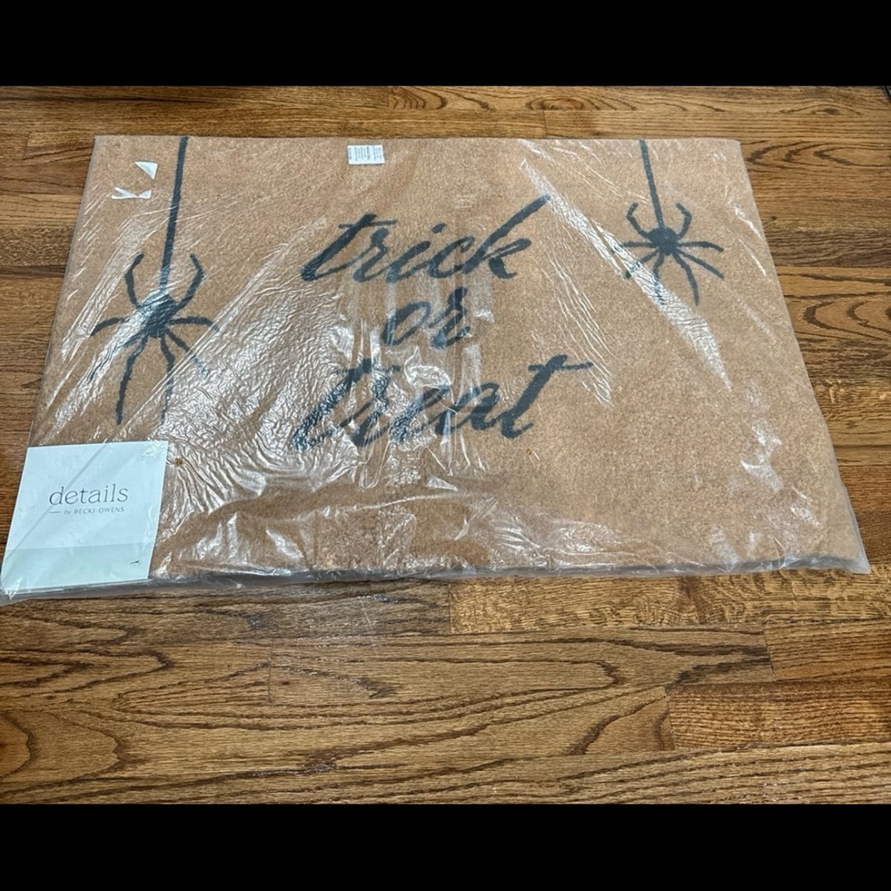Becki Owens Trick or Treat Hanging Spider Heavy Duty Outdoor Doormat